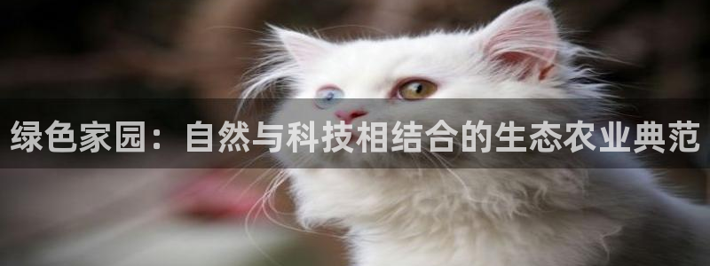 fh至尊是老凤凰吗
