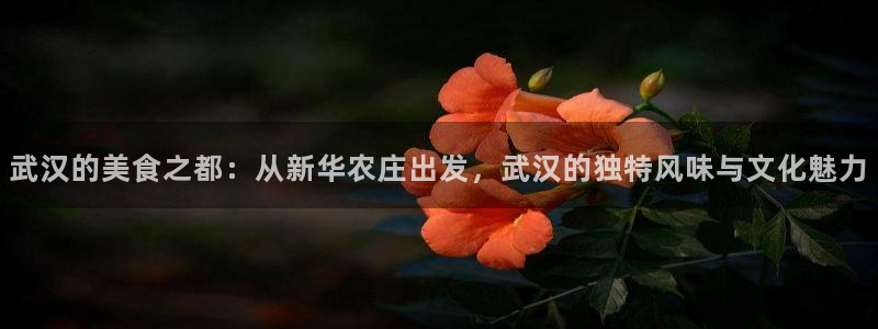 FH至尊登录官网