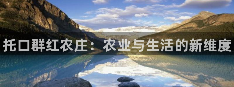 fh至尊是什么平台