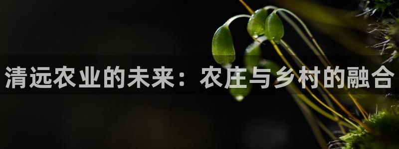 fh至尊游戏模式