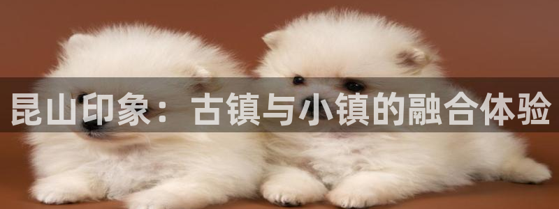 fh至尊官方旗舰店