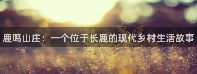 fh至尊多少年了