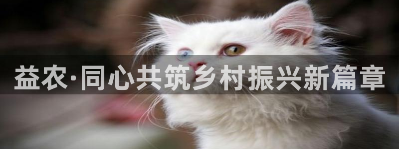 fh凤凰至尊app