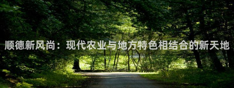沃尔沃fh500至尊款