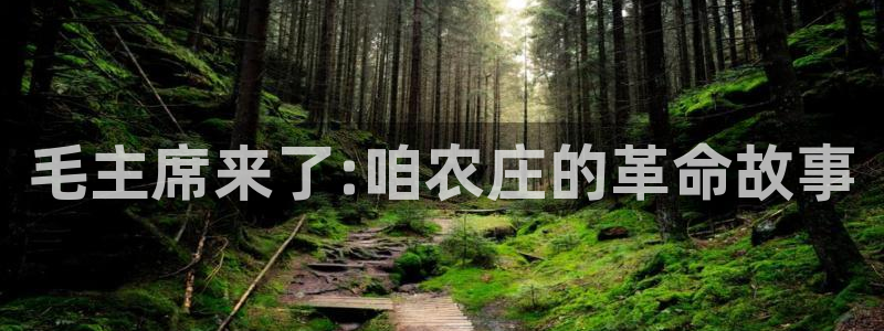 FH至尊平台老板是谁