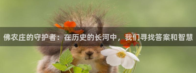 沃尔沃fh至尊旗舰版