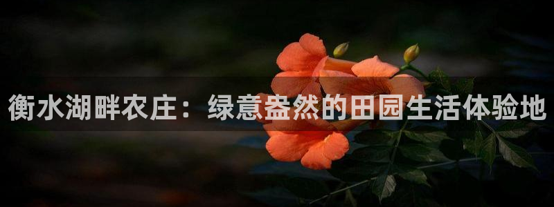 fh至尊官方网站