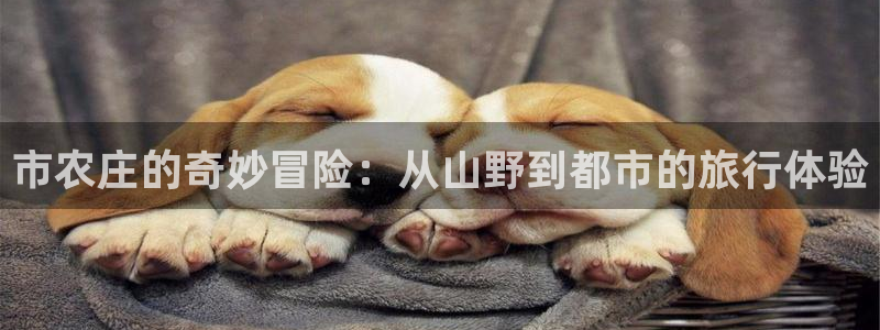 至尊FH下载