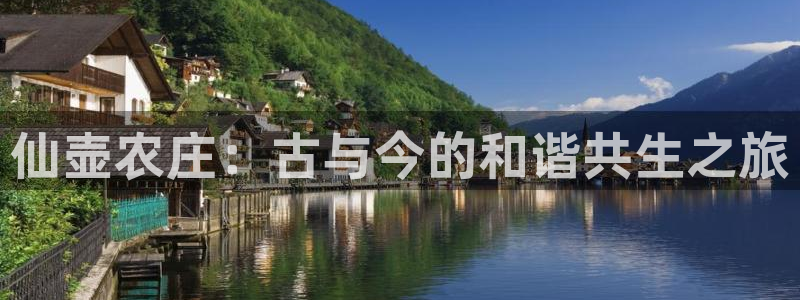 fh至尊邀请码