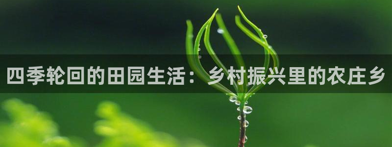 fh至尊正常登录