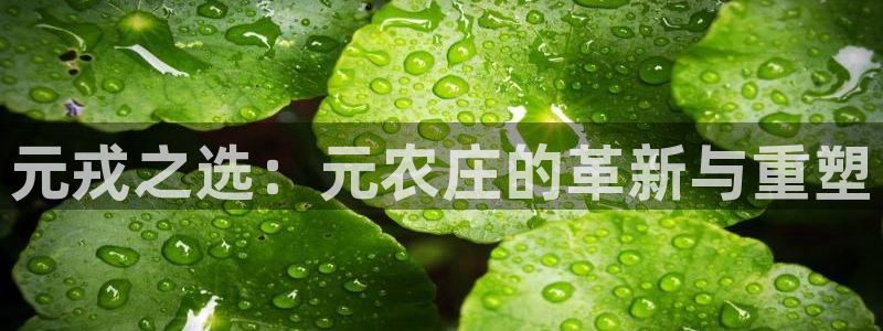 fh至尊品牌介绍
