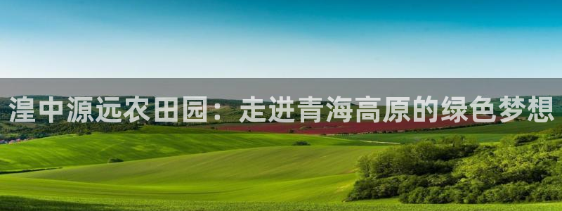 fh至尊官方网站