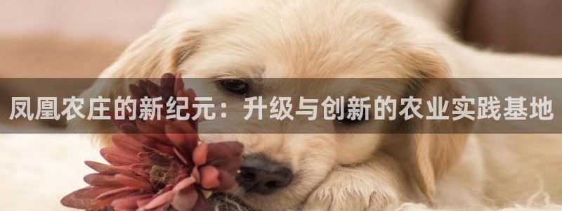 沃尔沃fh至尊旗舰版