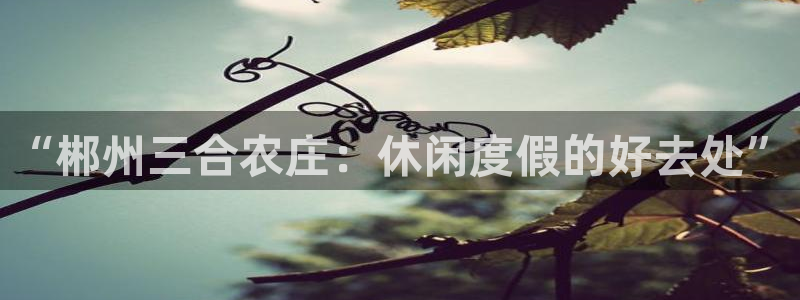 FH至尊平台注册地址