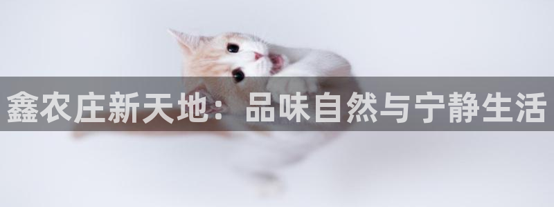 FH至尊公安