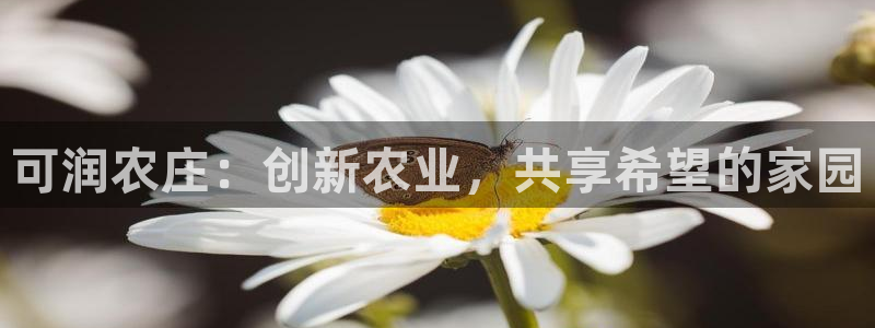 fh至尊怎么改密码