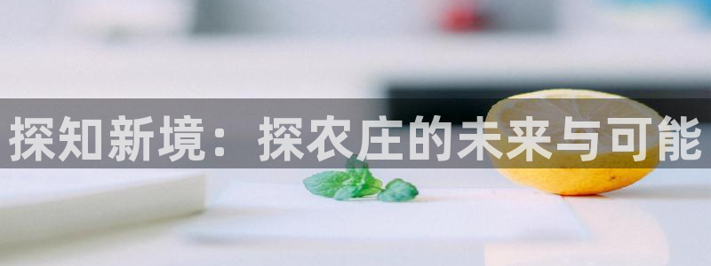 FH至尊登录不了