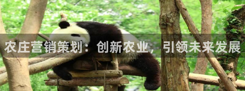 FH至尊开户