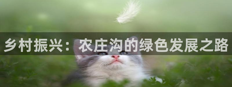 至尊FH下载