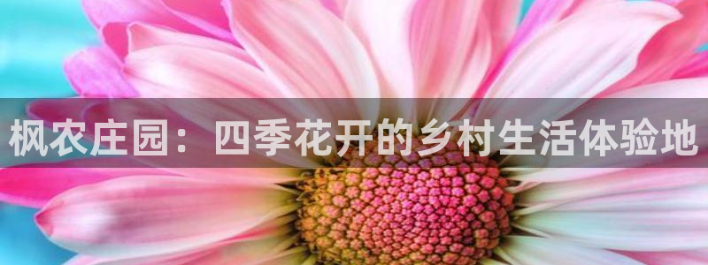 fh至尊怎么没有了