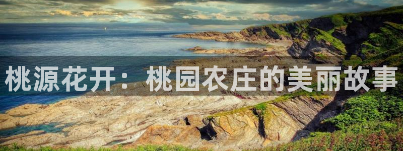 FH至尊app
