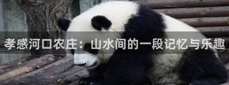 fh至尊是不是黑平台
