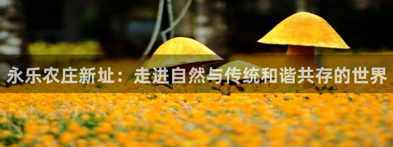 FH至尊信誉怎么样