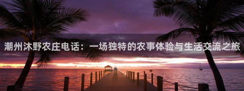 fh至尊平台黑钱