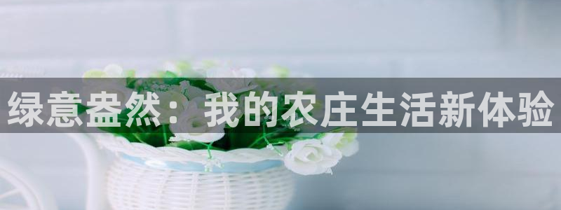 FH至尊平台注册