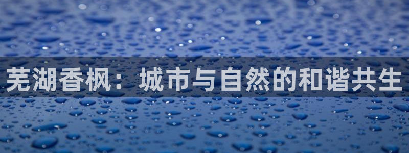 fh至尊凤凰消息的范本