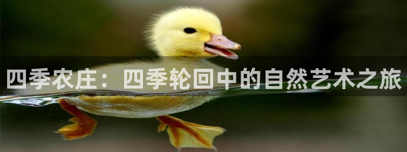 fh至尊平台靠谱吗