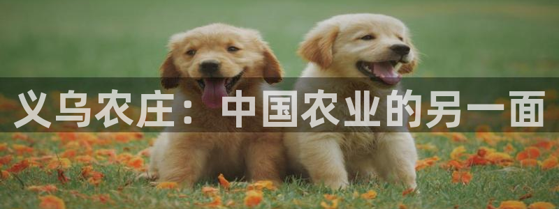 fh至尊安全吗