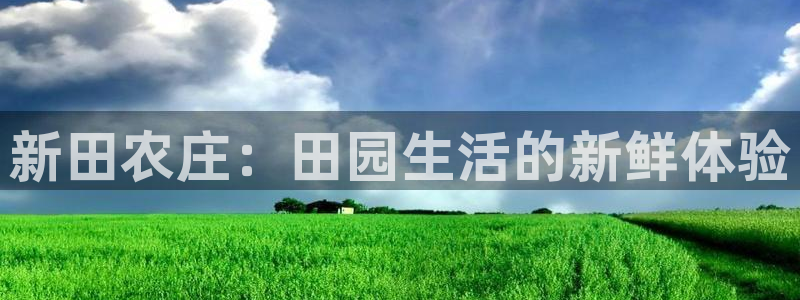 fh至尊游戏模式