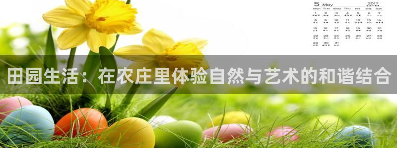 fh至尊平台安全密码忘记了
