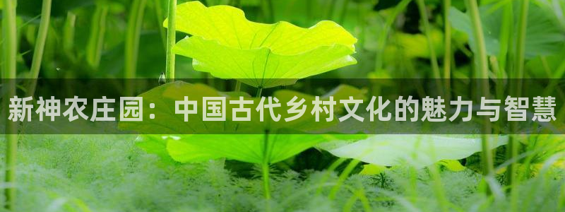 凤凰至尊FH正常登录