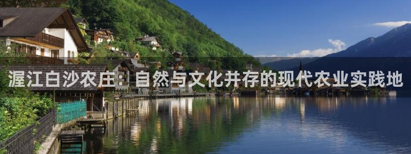 fh至尊官方网站