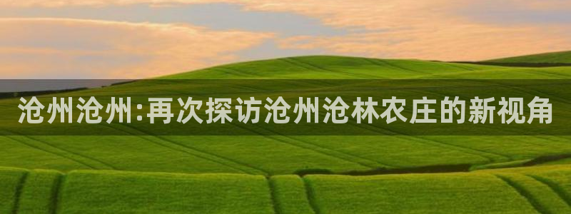 FH至尊公安