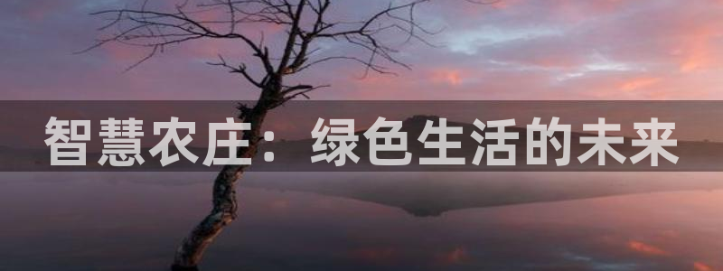 fh至尊是什么牌子