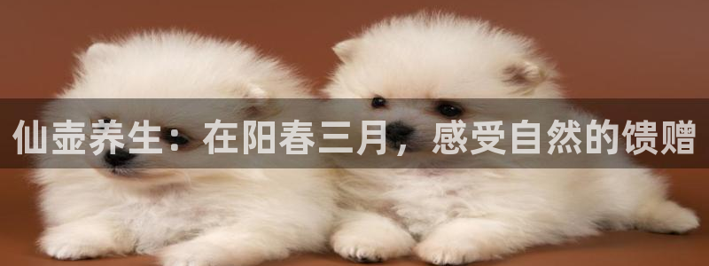 fh至尊版手机app