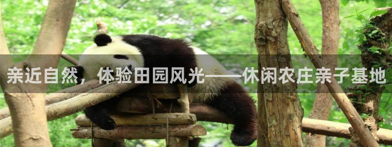 FH至尊平台注册