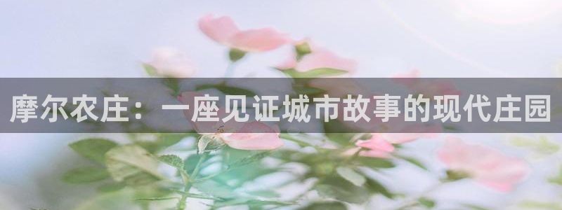 FH至尊娱乐下载二维码