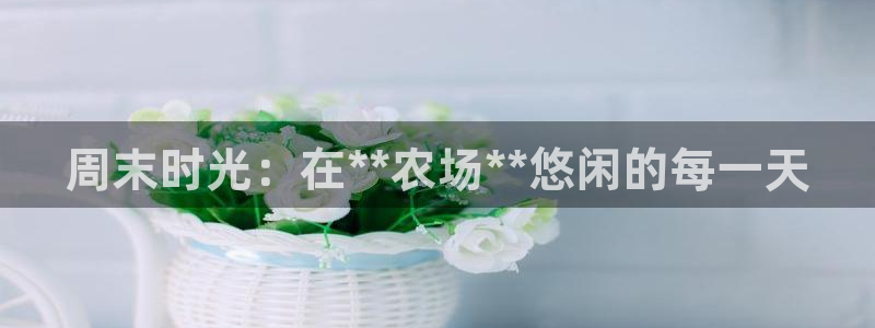 凤凰娱乐FH至尊地址