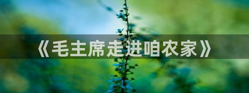 fh至尊 华娱124.com