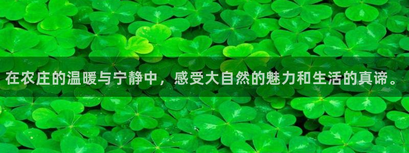 fh至尊凤凰是黑网