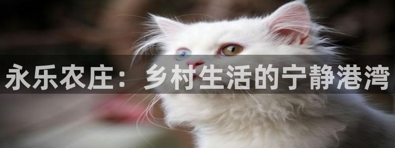 fh至尊平台冻结