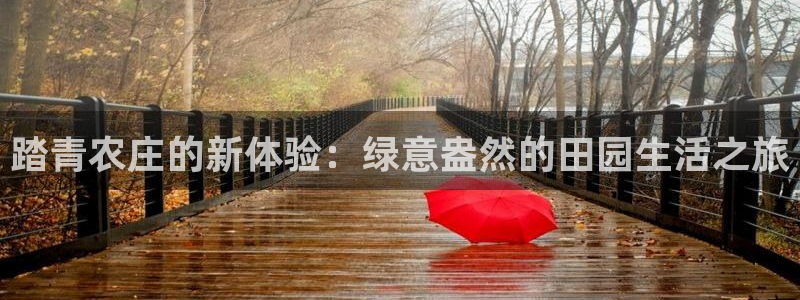 fh至尊什么意思