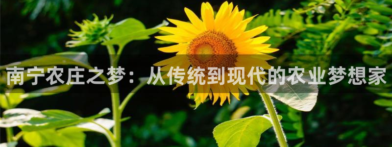 FH至尊是什么意思