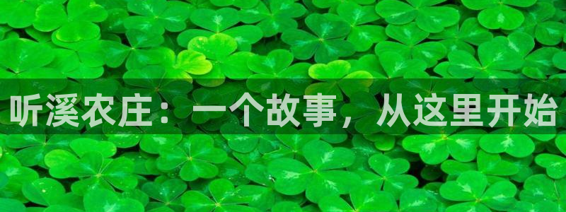 fh至尊app下载安装