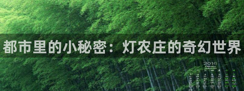 fh至尊平台怎么提现