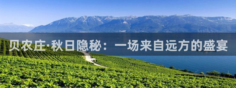 fh至尊凤凰平台下载